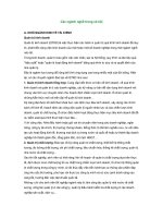 Các ngành nghề trong xã hội