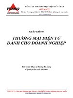 Giáo trình thương mại điện tử dành cho doanh nghiệp