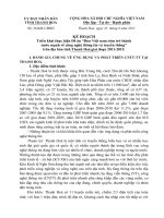 Kế hoạch Triển khai thực hiện Đề án “Đưa Việt nam sớm trở thành nước mạnh về công nghệ thông tin và truyền thông trên địa bàn tỉnh Thanh hóa giai đoạn 2011-2015