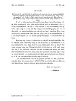 Báo cáo tổng hợp về công tác tổ chức kiểm toán báo cáo tài chính được thực hiện ở Công ty kiểm toán và kế toán hà nội – cpa hanoi