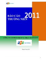 Báo cáo thương niên FPT 2011