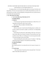 TRÒ CHƠI CÂU CHUYỆN TOÁN HỌC ĐƯỢC DÙNG KHI DẠY CÁC SỐ TRONG PHẠM VI 10