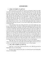 Kế toán tiêu thụ và xác định kết quả tiêu thụ thành phẩm trong các Doanh nghiệp