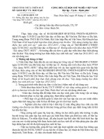 Hướng dẫn thực hiện phong trào thi đua “Xây dựng THTT, HSTC” năm học 2012-2013