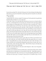 Tổng quan kinh tế thương mại Việt Nam sau 1 năm ra nhập WTO