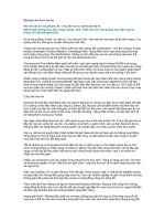 Quảng cáo thực tại ảo