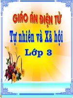 Một số hoạt động ở trường