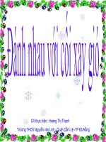 đánh nhau với cối say gió