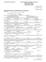 ĐÊ THI THỬ ĐẠI HỌC CAO ĐẲNG THÁNG 4/2009 MÔN HÓA HỌC KHỐI A