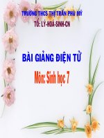 Bài 25: Nhện và sự đa dạng của lớp hình nhện (hot)