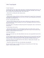 Chân Trạng Nguyên