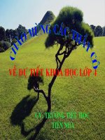 Nước cần cho sự sống