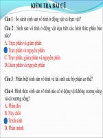 Sinh sản hữu tính ở động vật - CB