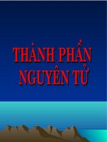 Nguyên tử NC