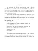 SKKN bất đẳng thức