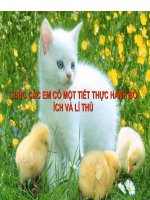 Bài 54: Thực hành về động vật