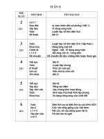 Tuần 21 lớp 5 SN