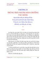 Thiên long bát bộ 29