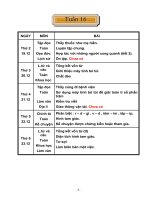 Tuần 16 Lớp 5