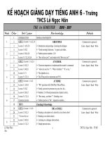 Kế hoạch dạy AV6 (10-11)