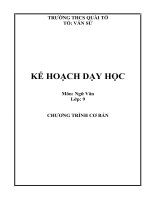 kế hoạch dạy học ngữ văn 8