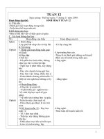 Giáo án lơp 3(tuần 12)