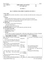 gia an dia (tran thi phuong)