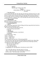 Giáo án 4- Tuần 2