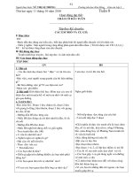 G án 3 Chuẩn( T8-T10)