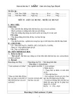 Giao an Hoa 9 Ki II ( Chuan)