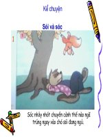 kể chuyện Sói và Sóc