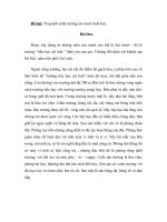 Ta quang canh truong truoc buoi hoc 3