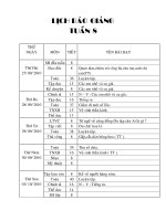 GIÁO ÁN LỚP 3. TUẦN 8