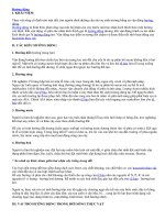 Hướng động.doc