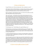 PHONG TUC VN - SINH DUONG