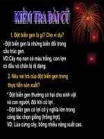 Tiết 24: ĐỘT BIẾN CẤU TRÚC NST ( Có hình động )