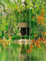 long ghep tu tuong ho chi minh