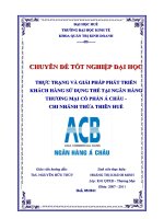 THỰC TRẠNG và GIẢI PHÁP PHÁT TRIỂN KHÁCH HÀNG sử DỤNG THẺ tại NGÂN HÀNG THƯƠNG mại cổ PHẦN á CHÂU   CHI NHÁNH THỪA THIÊN HUE 