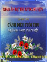 Cánh diều tuỏi thơ