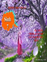 tiết 22-đđchung&vai trò của thân mềm