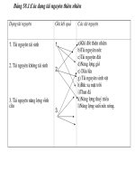 con nguoi dansô va moitruong