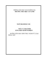 HƯỚNG DẪN HỌC SINH THỰC HÀNH TỪ LOẠI TIẾNG VIỆT