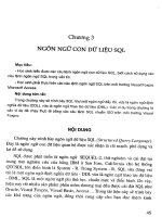 Ngôn ngữ con dữ liệu SQL