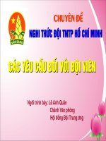 Các yêu cầu đối với đội viên