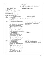 Giáo án lớp 3(Tuần 14)