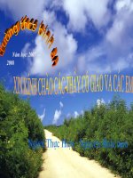 Giao an Thi GVG-mua Xuan nho nho