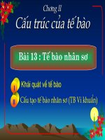 Bài 13: Tế bào nhân sơ(Full)