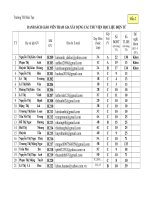 Bâố cáo Mẫu 2 -TH Hứa Tạo