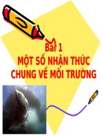 GDMT trong trường MN Bai 1.ppt