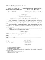 Mẫu Quyết định ban hành văn bản.